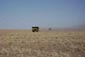 650 Kilometres of Goby Desert with Cat® 785C Mining Trucks.