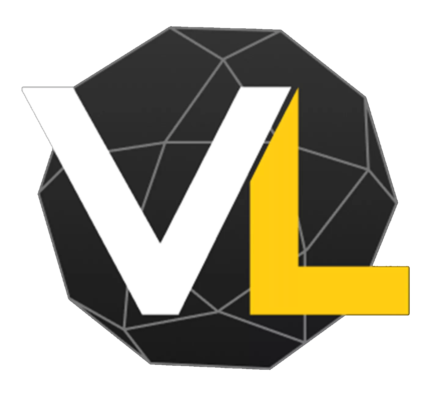 VisionLink