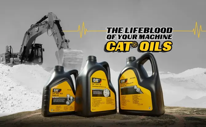 Cat Oil