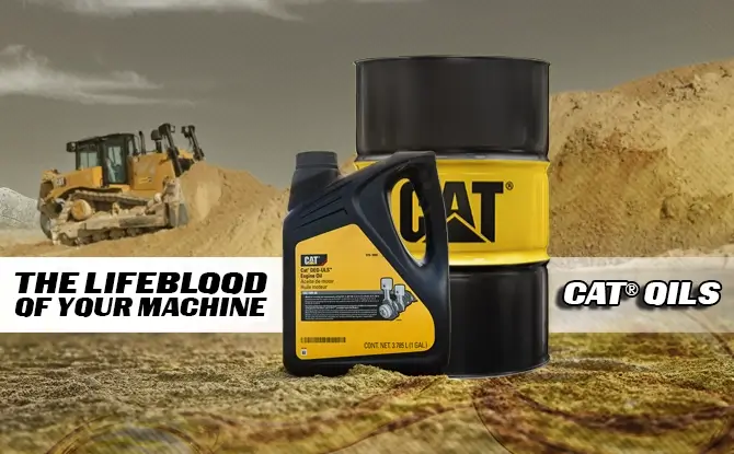 cat oil